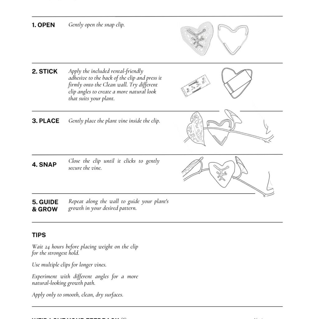 Step-by-step guide showing how to use the Alocasia plant clip to support and guide climbing plant leaves and stems