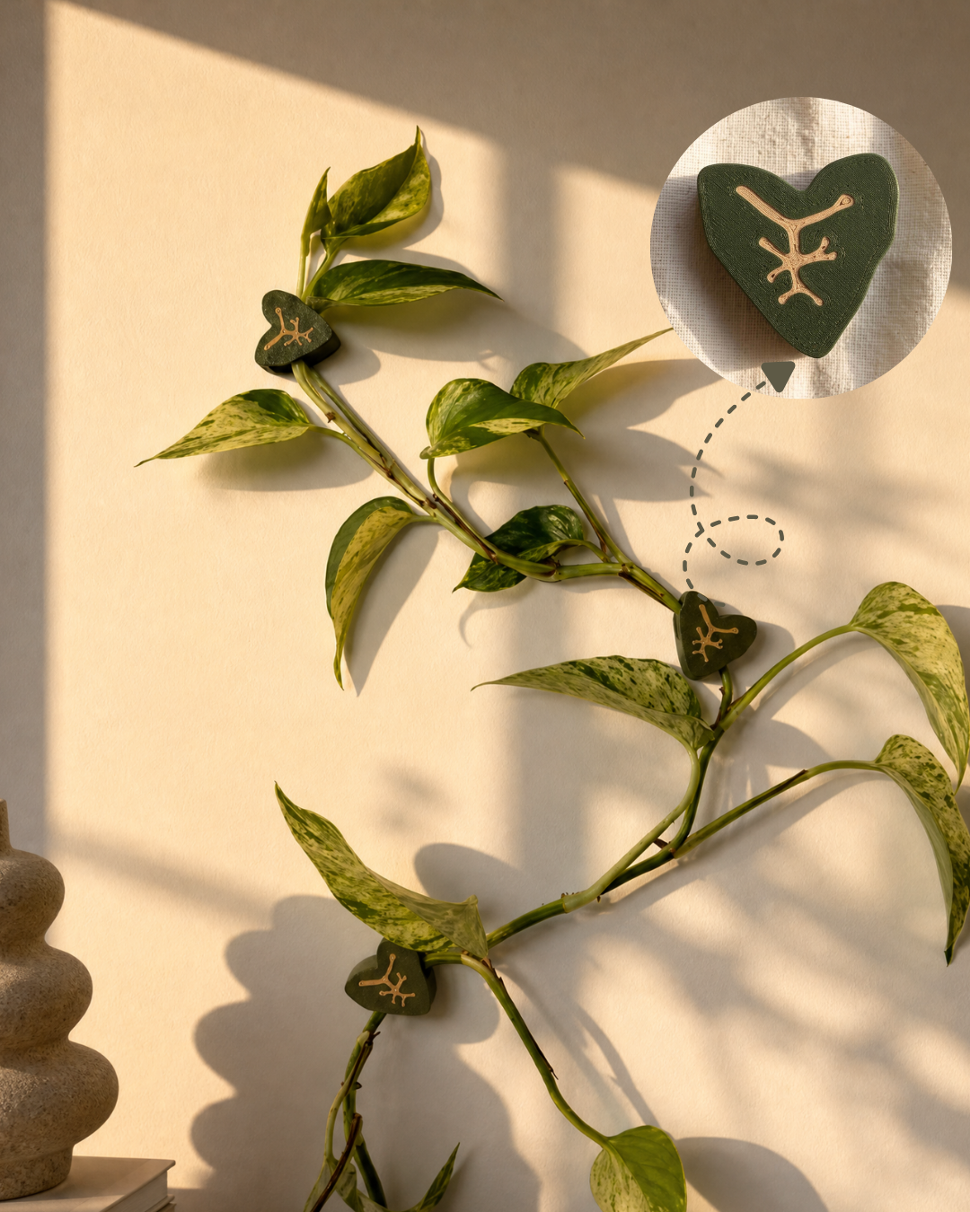 thuisely alocasia leaf plant clip wall vine straight on Alocasia leaf plant clips holding a pothos vine trained along a wall
