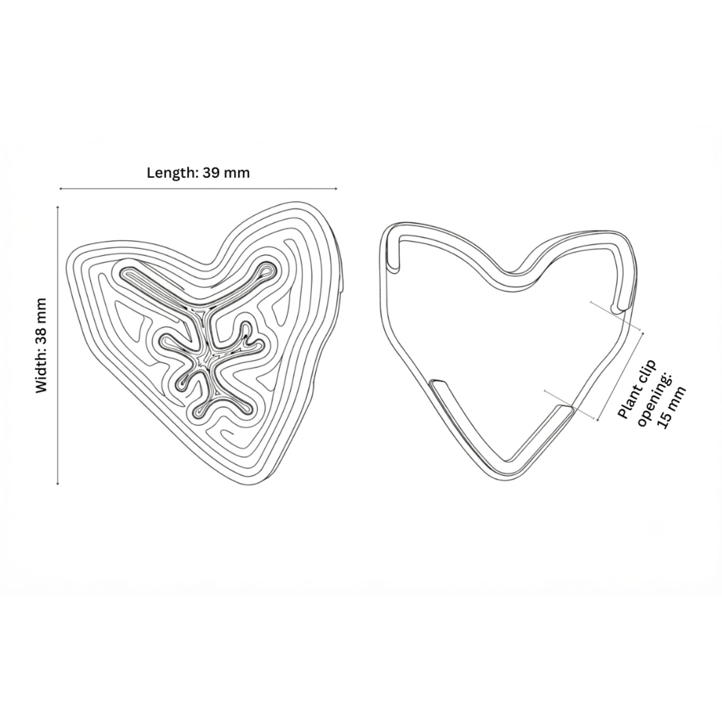 Plant Climbing Clips – Alocasia thuisely alocasia leaf plant clip hand scale sqaure