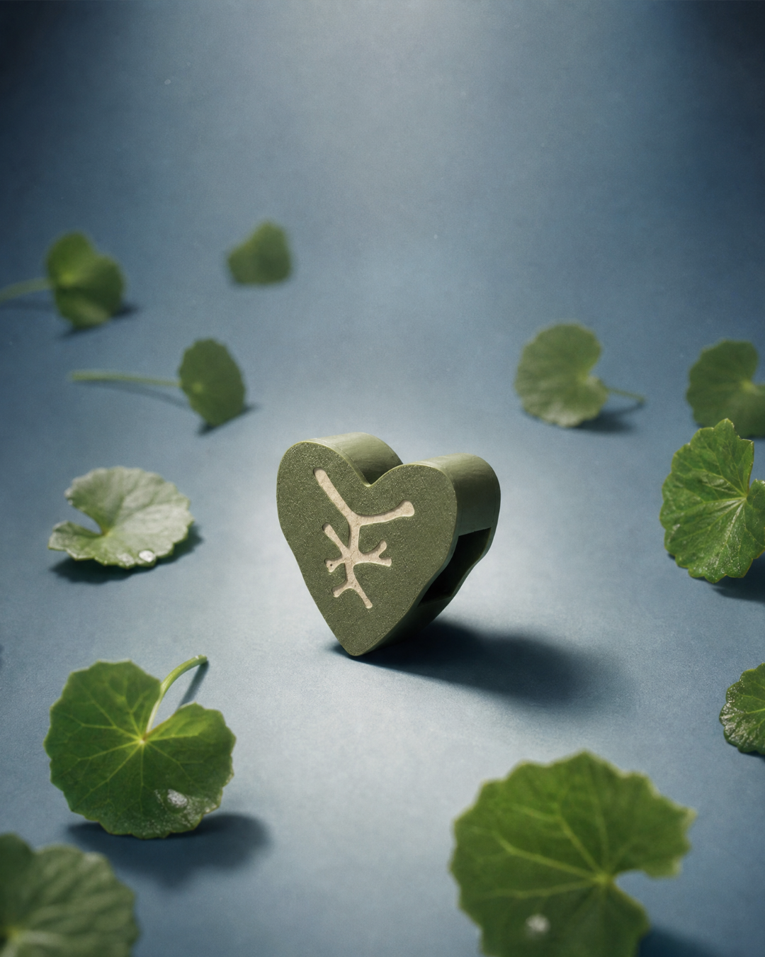 alocasia leaf plant clips